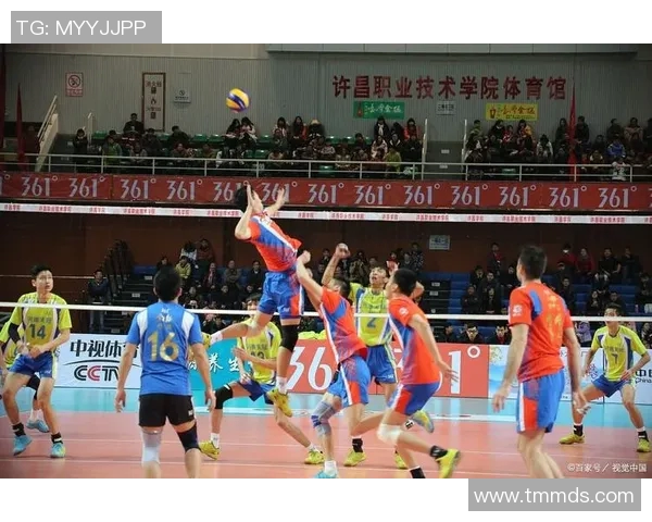 武汉排球队的默契配合与战术分析探讨排球运动的魅力与团队精神